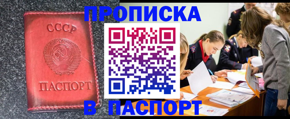 прописка для школы в Сертолово